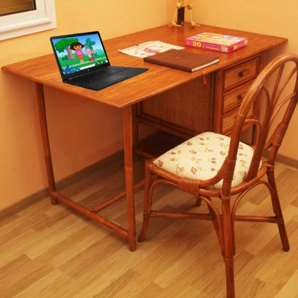 bureau junior + chaise